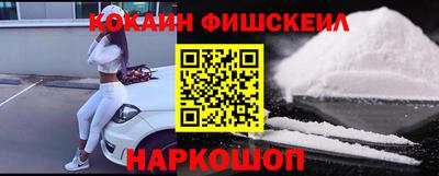 стаф Можга