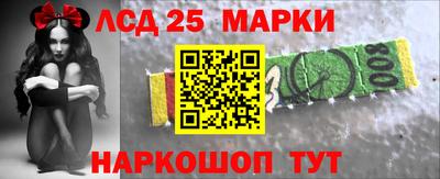 прущие грибы Можайск