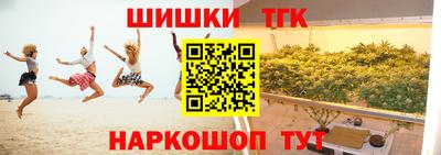 стаф Можга