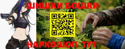 стаф Можга