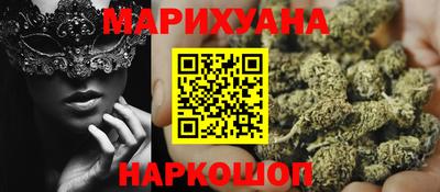 стаф Можга