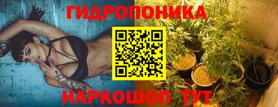стаф Можга