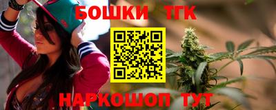 стаф Можга