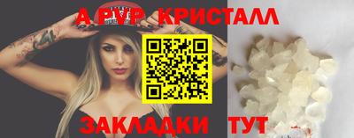 стаф Можга