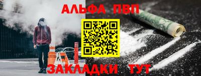 стаф Можга