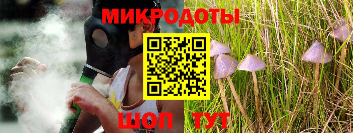 Галлюциногенные грибы Psilocybine cubensis  Вход с VPN  Тула 